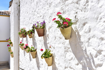 Fototapeta na wymiar Wall with flower pots. Olvera Village, Cadiz, Andalusia, Spain