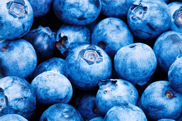 Bunch of blueberries - close up shot