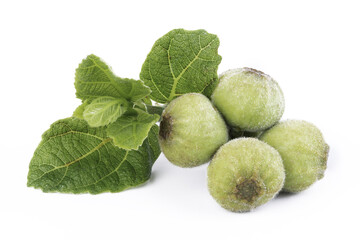 Fresh Fig Fruits and leaves on isolated white background