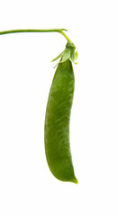 Green young peas isolated