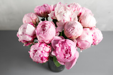 Pink peony flower on a gray background.copy space