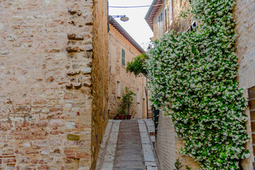 Fototapeta na wymiar Colorful and narrow alleys of Spello city of umbria in italy