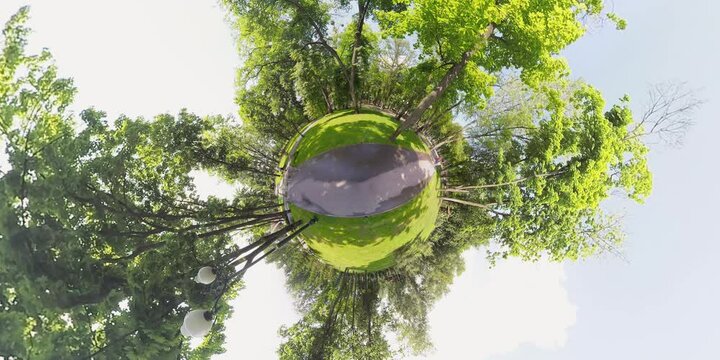 squirrel in the park drink water! 360 video tiny planet 