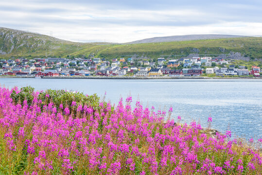 https://stock.adobe.com/no/images/picturesque-small-fishing-village-kjollefjord-by-the-seaside-in-finnmark-norway/157900013