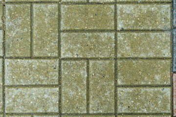 Green brick paving stones on a sidewalk