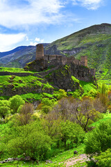 Fototapeta na wymiar ancient fortress Khertvisi