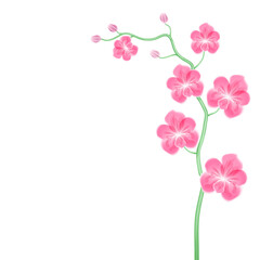 Obraz na płótnie Canvas Vector flower exotic orchid branch