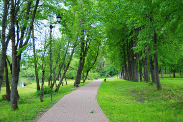 Path in the park