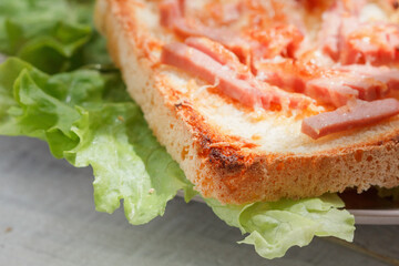 Sandwich on the plate with lettuce. Cheese and ham