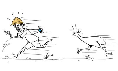Obraz premium Vector Cartoon of Male Tourist Running Away from Large Ostrich Bird