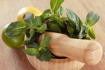 Fresh mint leaves in a mortar