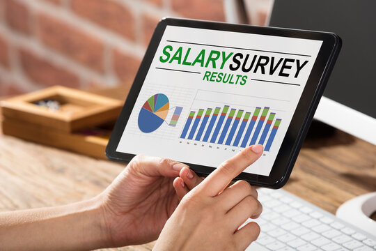 Businessperson Doing Survey On Salary Result