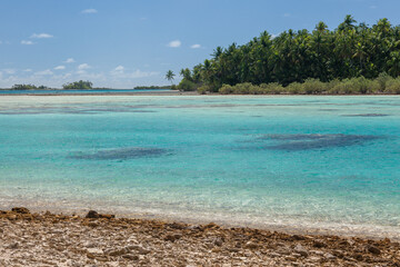 From a Beach in Manihiki Lagoon