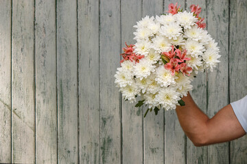 man's hand with a bouquet of white chrysanthemum on a wooden background
