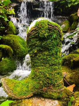 An up close view of a moss covered cowboy boot planter in front of a lush tranquil waterfall.