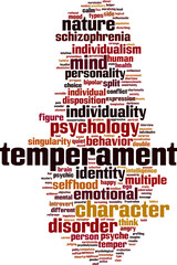 Fototapeta premium Temperament word cloud
