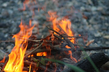 campfire flames