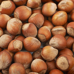 Surface coated with hazelnuts