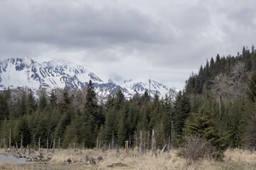 Alaskan Mountains