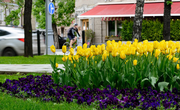 Flowerbed in the street with cafe and walking people on background