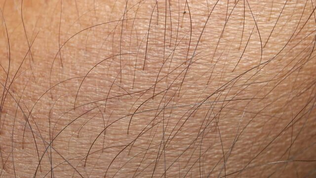 Close up of Human Skin Texture 
