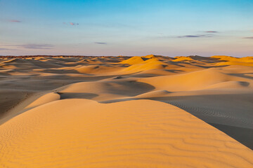 Fototapeta na wymiar Sand dunes landscape in west Kazakhstan desert