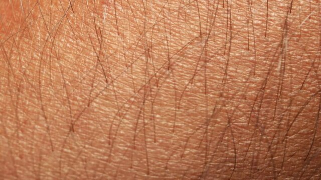 Close up of Human Skin Texture 
