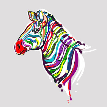 hand drawn color zebra on grey background. design for adults, poster, print, t-shirt, flyers. sketch. vector eps 8.