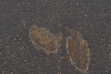 Steel texture background