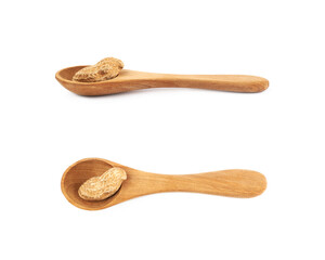 Single peanut in a spoon