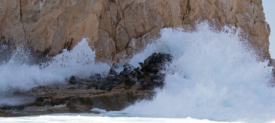Wave breaking on the Sea Lion colony at Lands End in Cabo San Lucas Baja Mexico BCS
