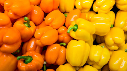 Orange and Yellow Peppers - 157957202