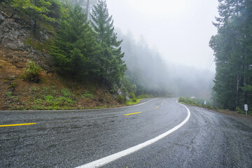 Fototapeta premium Lonesome road in the mist leading through the Redwoods National Park