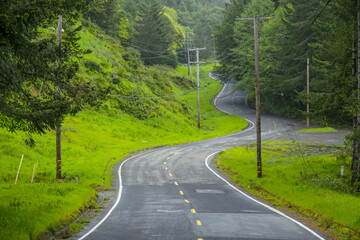 The beautiful woods and nature of Oregon