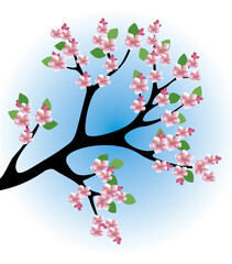 Peach blossoms