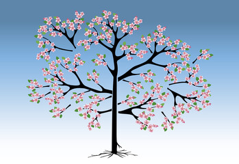 Fototapeta premium Peach tree in bloom