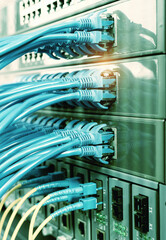 network cables connected to a switch
