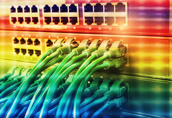 network cables connected to a switch