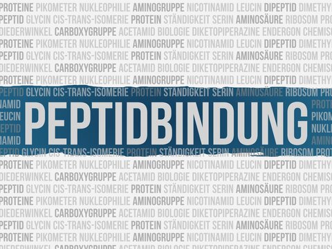 Peptidbindung