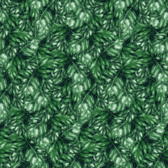 Naklejka na ściany i meble Watercolor green leaf tropical exotic plant seamless pattern