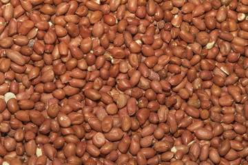 Peanuts