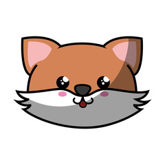kawaii fox animal icon over white background. colorful design. vector illustration