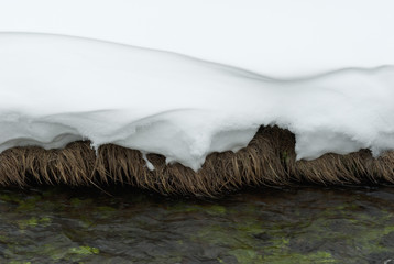 Fern Cascades Loop Trail, Winter, Yellowstone NP