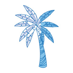 palm tree tropical plant natural image vector illustration