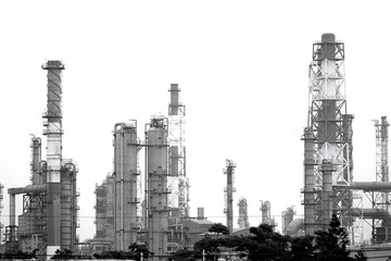 Large Petrochemical Complex