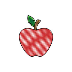 apple fruit icon over white background. vector illustration