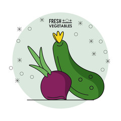 colorful poster of fresh vegetables with beet and cucumber vector illustration