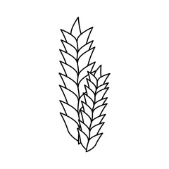 wheat ears icon over white background. vector illustration