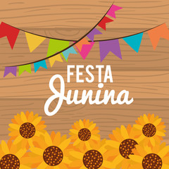 Festa junina design with sunflowers and banners over wood background. Vector illustration.