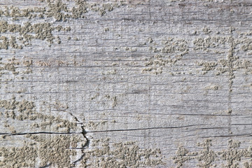 Plaster attached on old grungy wood planks background texture. Wooden texture.